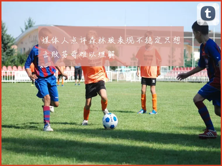 媒体人点评森林狼表现不稳定只想击败芬奇难以理解