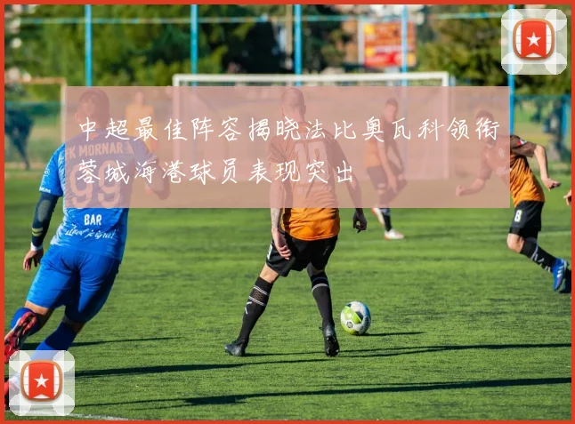 中超最佳阵容揭晓法比奥瓦科领衔蓉城海港球员表现突出