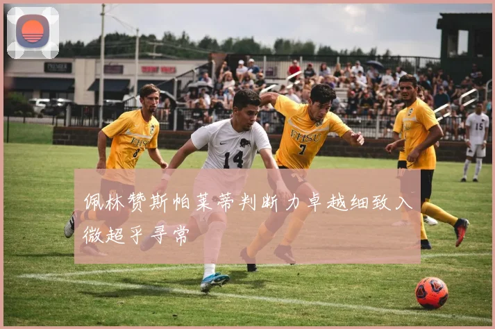 佩林赞斯帕莱蒂判断力卓越细致入微超乎寻常