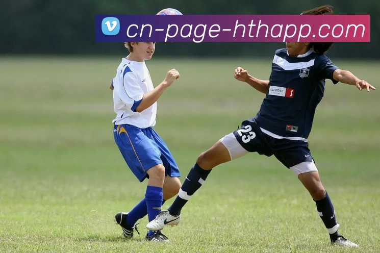 华体会体育平台生态图